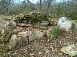 komostarri trikuharria