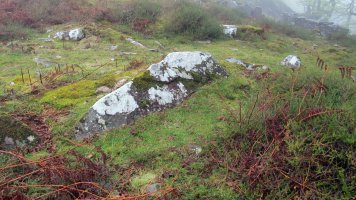 Zaharretako lepoa trikuharria, Beartzun-Baztan