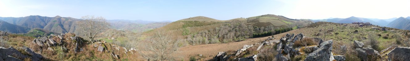 Gaineko Harrieta gaina