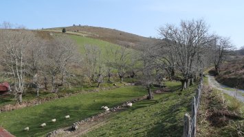 Olako bordaren inguruak