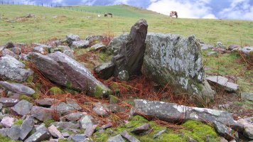 Oiza trikuharria, Berro-Baztan