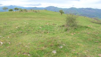 Oiza este trikuharria, Berro-Baztan