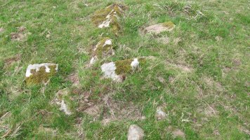 Oiza este trikuharria, Berro-Baztan