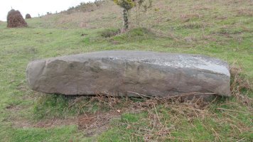 Mizkiritzen borda 2 zutarria, Berro-Baztan