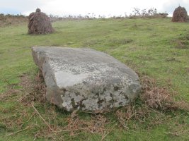 Mizkiritzen borda 2 zutarria, Berro-Baztan