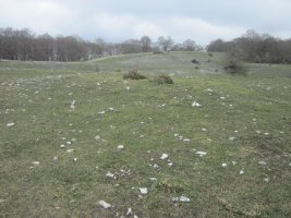 Túmulo Bardoitza VI (Abril 2022)