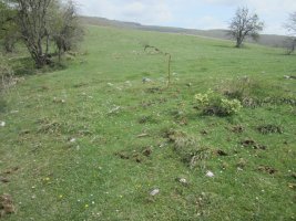 Túmulo Bardoitza VIII (Abril 2022) Dudoso