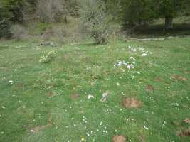 Túmulo Bardoitza VIII (Abril 2022) Dudoso