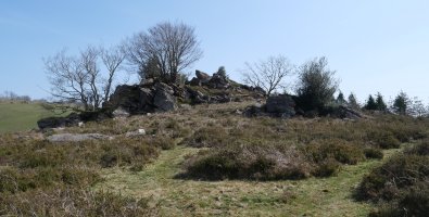 Beste muino harritsu bat Bagobilleta inguruan