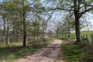 Irazakuko bidea, Zentinelako hegoaldeko lepoan