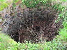 Petrinea karobia, Gartzain-Baztan