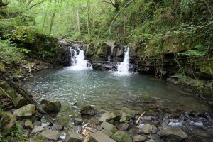 Zatxoeta erreka Atxulondo inguruan