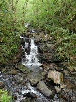 Zatxoeta erreka Atxulondo inguruan