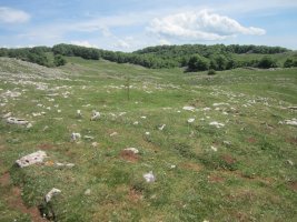 Túmulo Anular Motzeneko Txabola II (05-2022)