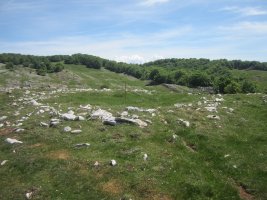 Túmulo Anular Motzeneko Txabola IV (05-2022)