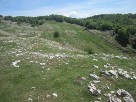 Túmulo Anular Motzeneko Txabola V (05-2022)