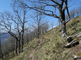 Hegoaldeko hegia zeharkatzen duen bidezidorra