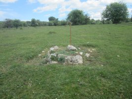 Cista Arratondo XVIII (Mayo 2022)