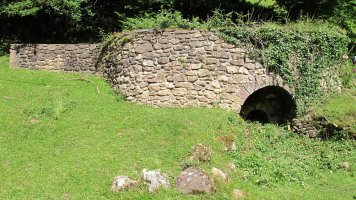 Arrosenea karobia, Arizkun-Baztan