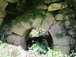 Arrosenea karobia, Arizkun-Baztan