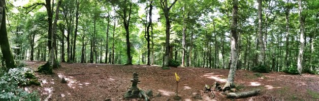 Mendebaldeko Tontorra