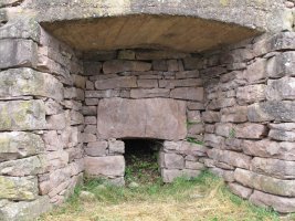 Apaioa karobia, Azpilkueta-Baztan