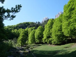 Taxera aldetik abiatzen den bidea