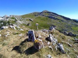 Tontorra. Atzean, Aratz