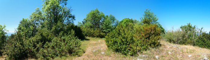 Ekialdeko gandorreko pasarte bat, Borreguil