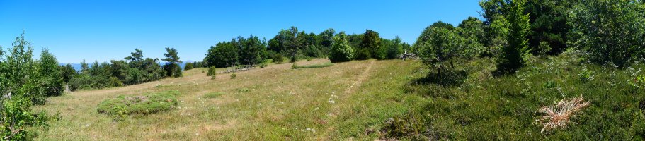 Tontorraren inguruko larre eremua, Borreguil