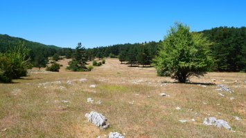Ollateko mendatearen inguruko larre eremu zabala