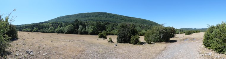 Legarozko bidegurutzea, hemen elkartzen dira Borreguilera igotzeko bi bideak