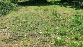 Rasico del Mojón I tumulua, Urbasa