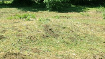 Rasico del Mojón II tumulua, Urbasa