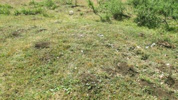 Rasico del Mojón III tumulua, Urbasa