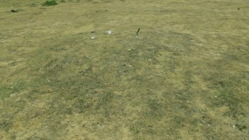 Pedrotxiki XXXVII tumulua, Urbasa