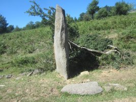 Monolito Naparbide  (Junio 2022)