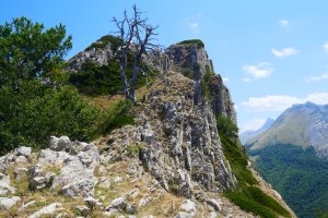 Abizondo, mendebaldetik