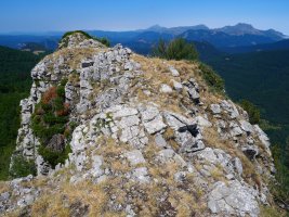 Abizondo tontorra ekialdetik