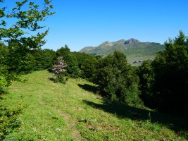Lazagorria aldeko lepoa eta Lakhura