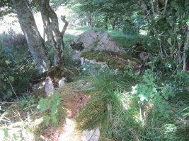 Lizarrandigañe 2 Oeste