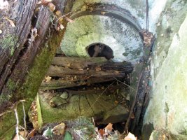 Errotaren hondakinak, San Martin-Ameskoabarrena