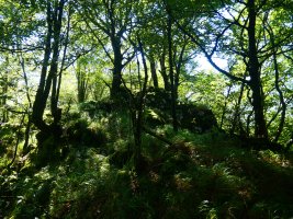 Irumugarrieta / Irumugeta / Irumuga tontorra, ekialdean