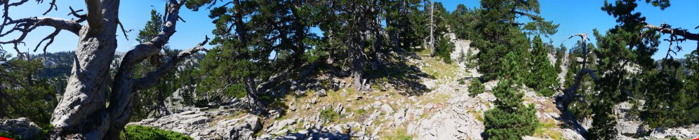 Tontorrera gerturatzen