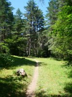 GRaren arrastoan, Belabartzera bidean