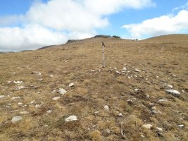 peña elordia tumulua