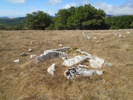 trekua goñi tumulua