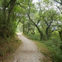 Armintza eta Urizar arteko bidea