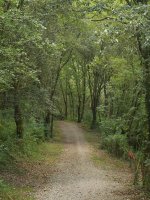 Armintza eta Urizar arteko bidea