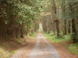 Mendigainera igotzen den bidea